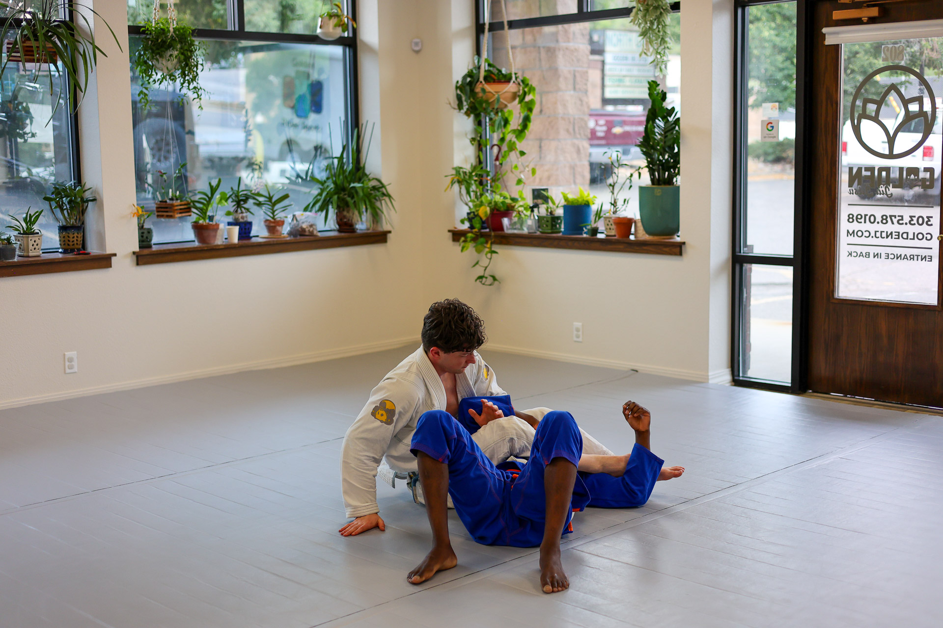 Two members rolling in gi at Golden Jiu Jitsu with plant-lined windows and natural light